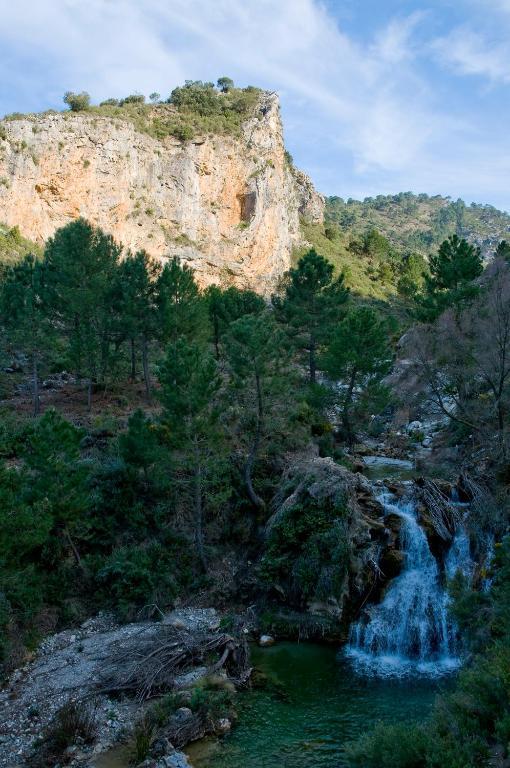 הוילה Arenas del Rey Complejo Rural El Molinillo מראה חיצוני תמונה